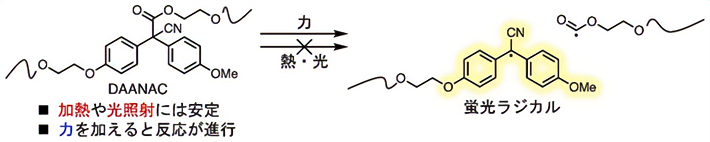 図1. 本研究の概要図
