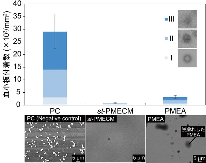 図1. 血小板付着試験後の走査型電子顕微鏡画像と活性化度ごとに計測された血小板付着数