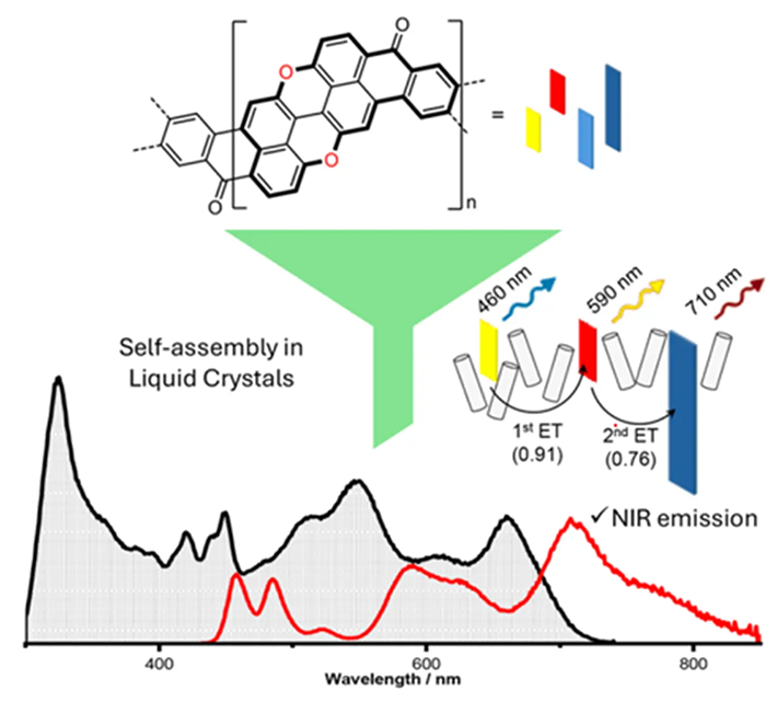 PXXナノリボンとネマチック液晶を用いた人工LHS