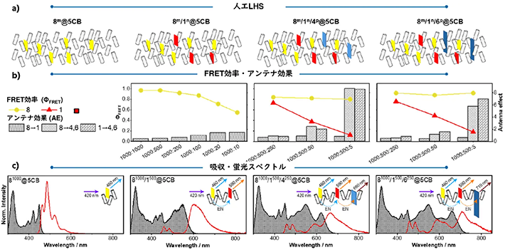 図3. （a）人工LHSのモデル図、（b）各システムのFRET効率とAE、（c）各システムの吸収・蛍光スペクトル