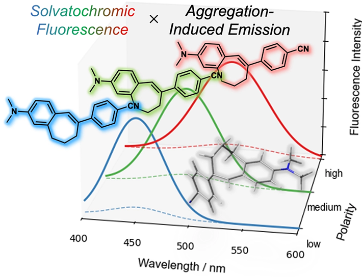 図. 本研究の概要