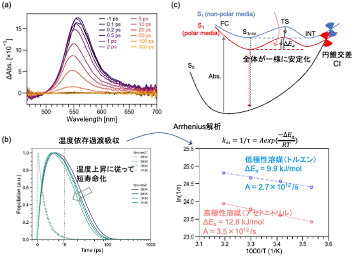 図. 本研究の概要