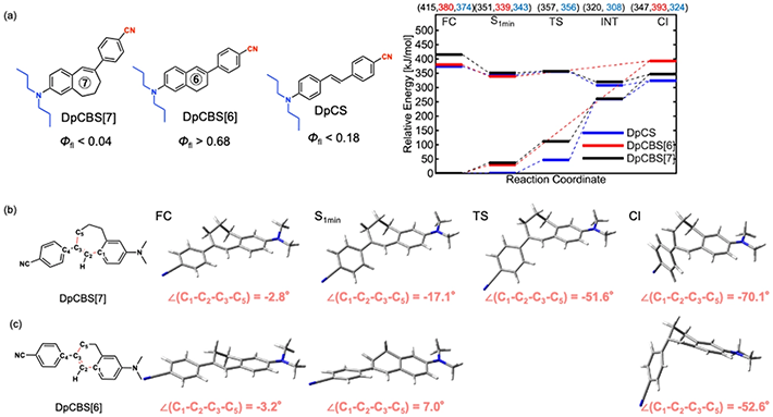 図. 本研究の概要