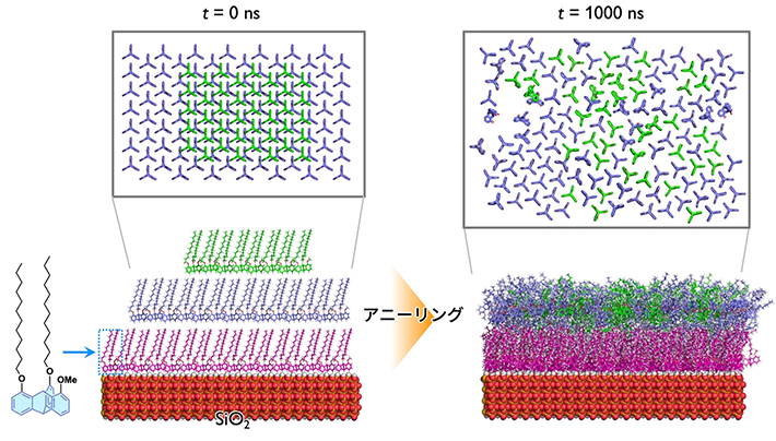 図1. 本研究の概要図