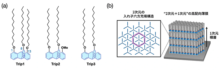 図2. (a) 三脚型トリプチセン誘導体の分子構造と(b) これらの分子が形成する"2次元の入れ子六方充填+1次元積層"の高秩序薄膜の模式図