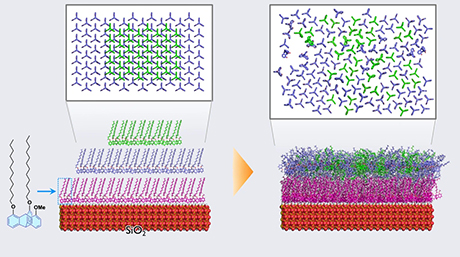 なぜ三脚型分子は固体表面上できれいに並ぶのか？