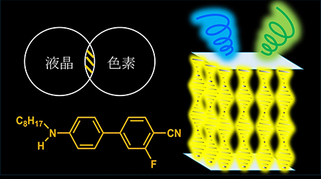 液晶性発光色素により薄膜で実装レベルの円偏光発光を実現