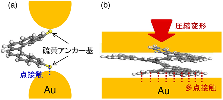 図2. （a）従来のアンカー基を有するヘリセン分子接合の模式図。（b）π拡張ヘリセン分子接合の模式図。分子が圧縮・伸張するとπ電子面の距離や配置が変化し、分子内部のπ電子の重なり方が変化することで、電気伝導性や熱電能が変化する。
