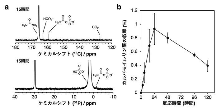図2. 硫化銅に促進される高エネルギーリン酸の生成