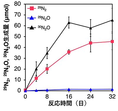 図3. 硫化銅の存在下における窒素ガス<sup>29</sup>N<sub>2</sub>の生成量の経時変化