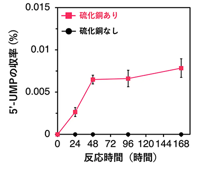 図4. 硫化銅の存在下および非存在下におけるリン酸化されたウリジン(5’-UMP)の収率の経時変化