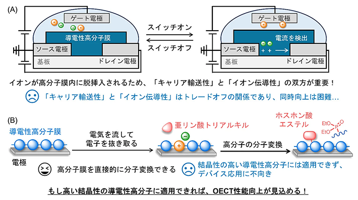 図1（A）OECTのスイッチオン／オフ時の概略図 （B）電気化学的な手法を用いた導電性高分子膜の分子変換法