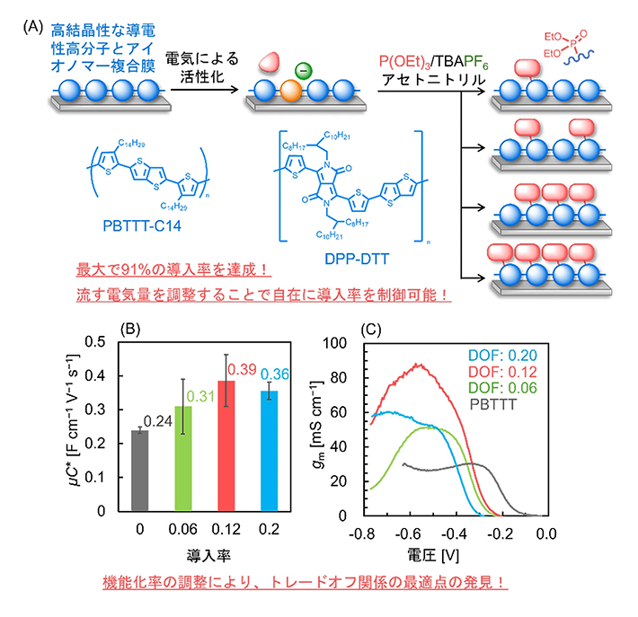 図2（A）本研究で使用した高分子の構造式と機能化率制御の模式図（B）PBTTT-C14へのホスホン酸エステルの機能化率と対応するOECTデバイスの<i>μC</i>*の比較図（C）機能化率が異なる各デバイスのトランスコンダクタンスと電圧のプロット図