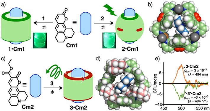 図3. a）サブナノチューブ<strong>1</strong>と<strong>2</strong>を用いたクマリン色素<strong>Cm1</strong>の捕捉とb）<strong>2•Cm1</strong>の計算構造（R = H）。 c）チューブ<strong>3</strong>を用いた<strong>Cm2</strong>の捕捉とd）<strong>3•Cm2</strong>の計算構造（R = H）。 e）<strong>3•Cm2</strong>と<strong>3’•Cm2</strong>のCPLスペクトル
