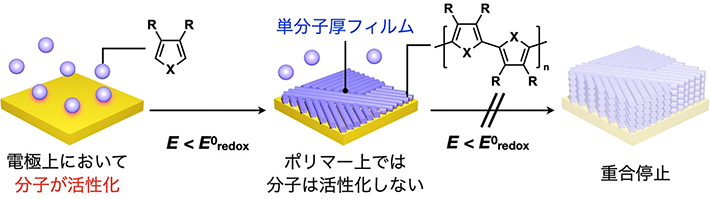 分子―電極間相互作用によって自発的に終了する重合反応のメカニズム