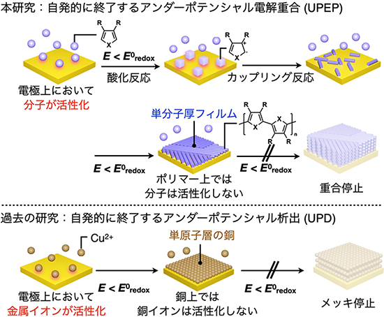 図1. アンダーポテンシャル電解重合（本研究、UPEP）とアンダーポテンシャル析出（過去の研究）の比較