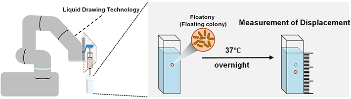図3. 液体中における Floatony 安定性評価実験の概要