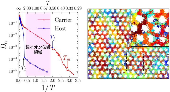 図1. 超イオン伝導体における基本構造