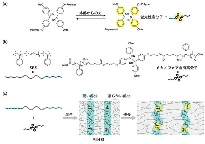 図1. 本研究の概要。