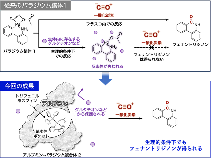 図2. グルタチオンに対して安定なパラジウム錯体の探索