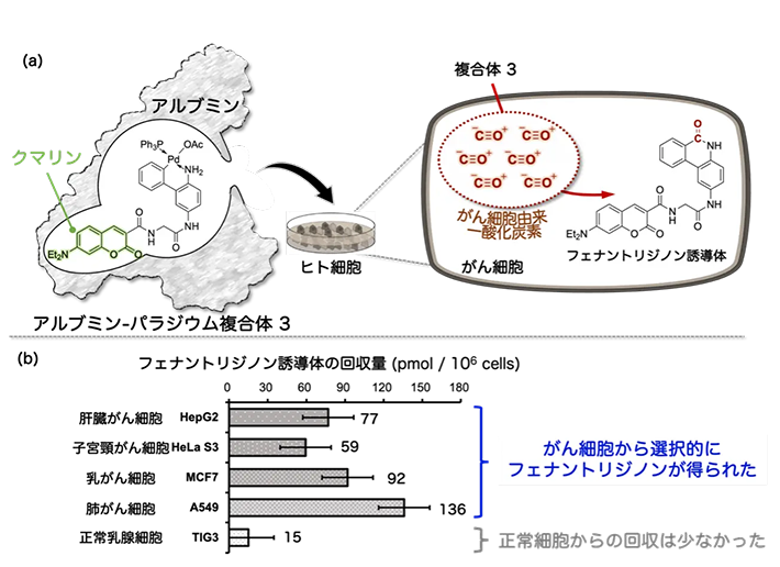 図3. がん細胞内の一酸化炭素の変換と検出