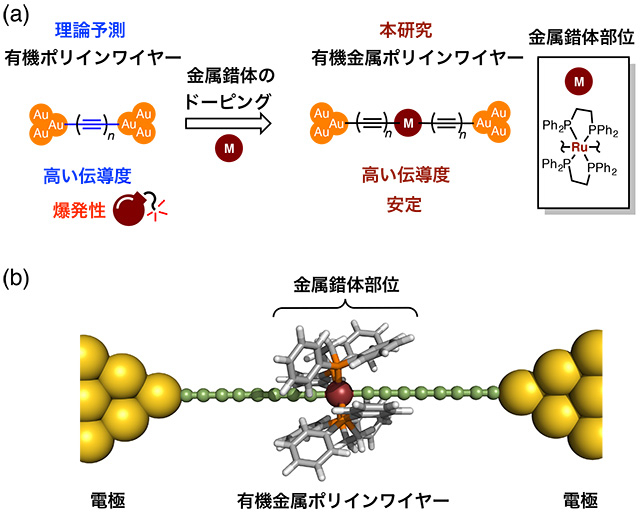 図1. （a）ポリイン分子ワイヤーと有機金属ポリイン分子ワイヤー （b）有機金属ポリインワイヤーのイメージ図