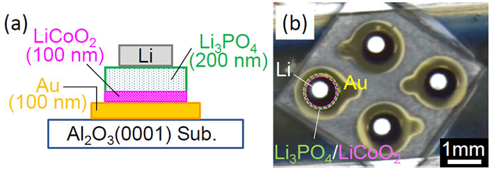 本研究で作製した全固体電池の概略図（a）と写真（b）