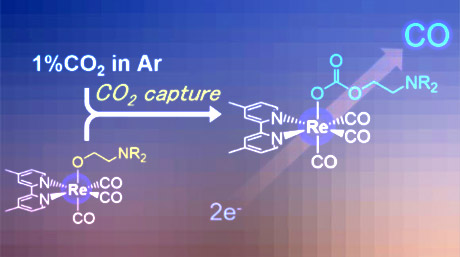 Scientists achieve direct electrocatalytic reduction of CO2, raising hopes for smart carbon capture