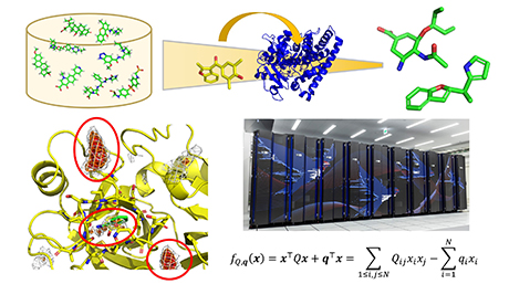 Yanagisawa Laboratory