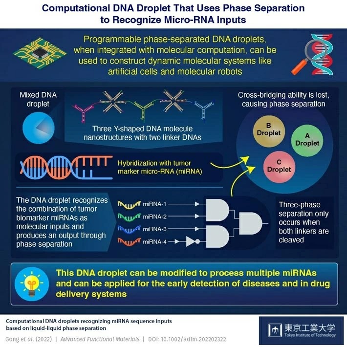 Novel Method for Early Disease Detection Using DNA Droplets