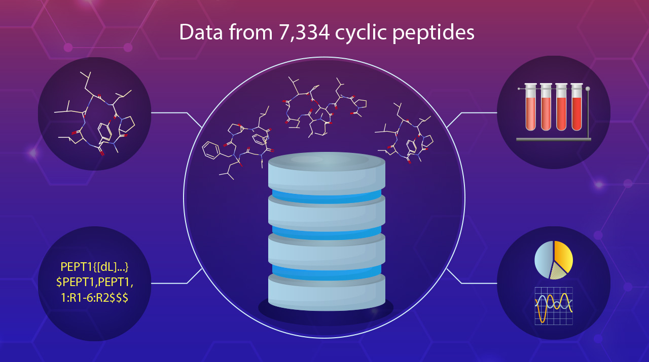 CycPeptMPDB: A Database Aimed at Promoting Drug Design Using Cyclic Peptides