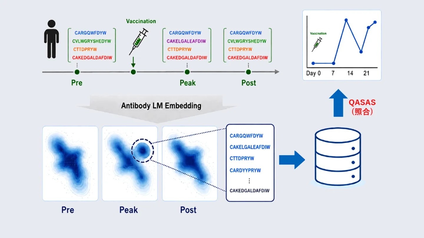 Language Model-based QASAS（LM-QASAS）