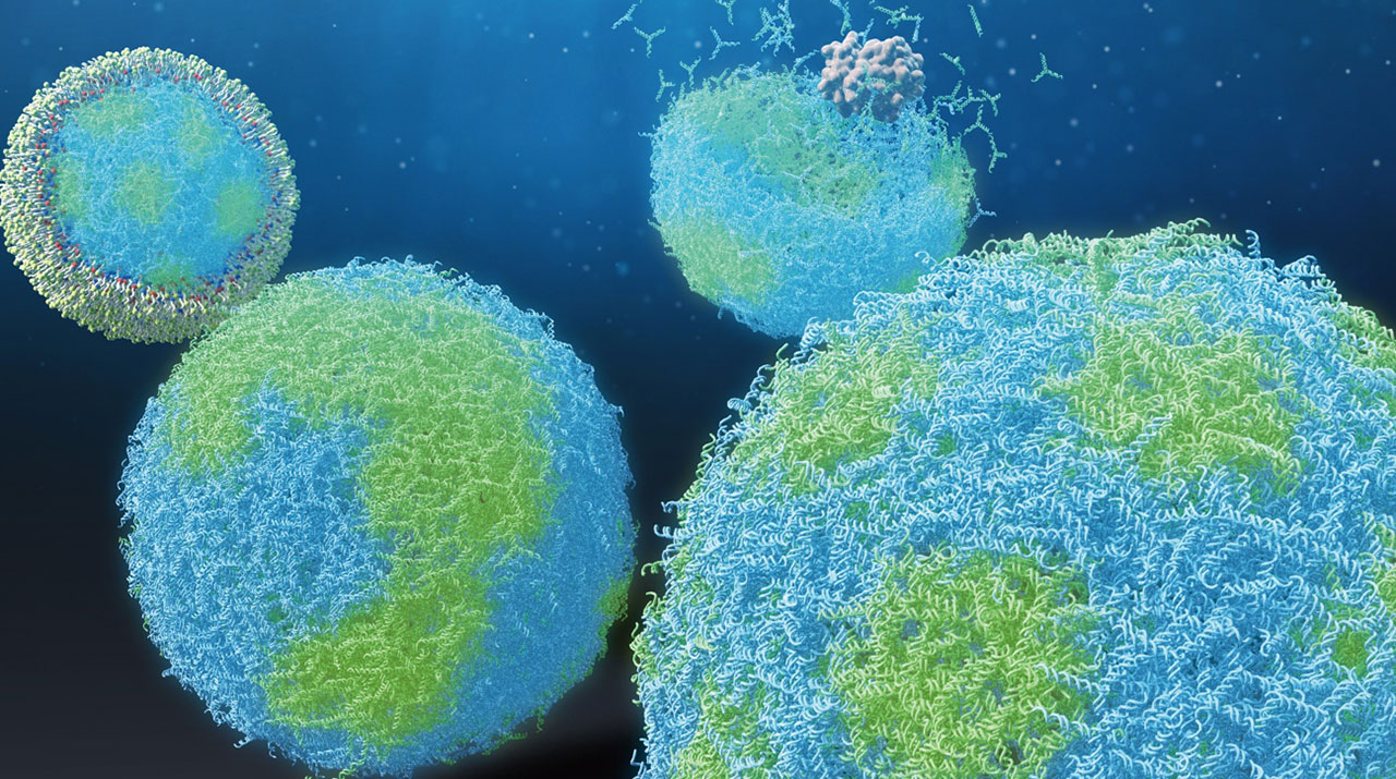 Figure 1. The DNA microcapsules with patterns made of sequence-designed DNA nanostructures.