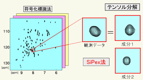 図. 情報科学（符号化標識法）と数理科学（テンソル分解）を応用したSiPex法