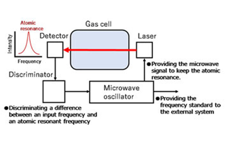 Module-Sized Atomic Clock