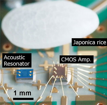 Microwave oscillator with a piezoelectric film resonator