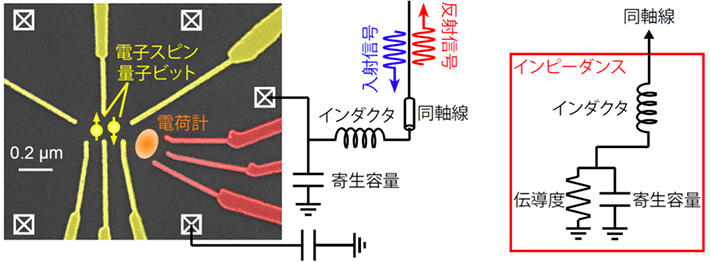 図1. 高周波反射測定セットアップと等価回路