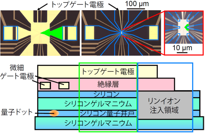 図2. 高周波反射測定が可能な試料設計と試料構造