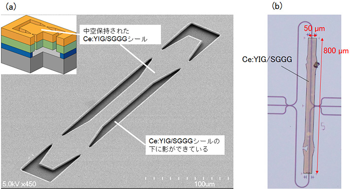 図2 （a）磁気光学結晶の微小薄膜シール（b）作製したシリコン光回路上の光アイソレータ 
