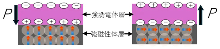 図2. 強誘電体を積層して強磁性体の磁気異方性制御を狙ったイメージ図