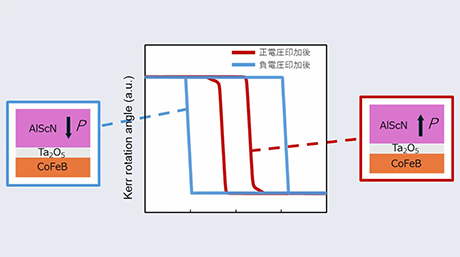 強誘電体の自発分極による強磁性体の保磁力の変化を確認