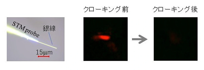 図2. クローキング対象の銀線の光学顕微鏡像(左)とクローキング前後の散乱光の観察像（右）。