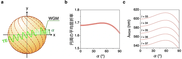 図4. (a)実際のねじれ双極球体の上を、方位角 <i>a</i> で周回するWGM共振のTEモード（球面に対し平行な方向に振動する電場）の模式図。