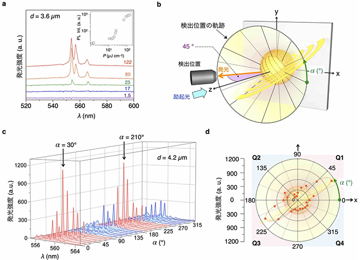 図6. (a)ねじれ双極球体1粒子（直径3.6 µm）から観測されたレーザー発振スペクトル。