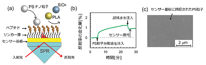 図1. （a）ナノプラスチック検出SPRセンサーの概要図。