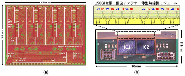 図3.(a)150 GHz帯二偏波MIMOフェーズドアレイ半導体無線機ICと(b)端末搭載可能な超小型アンテナ一体型 (AiP)無線機モジュール図。