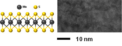 遷移金属ダイカルコゲナイドの1つである二硫化モリブデン（MoS2）の構造と断面透過電子顕微鏡による層状構造の観察