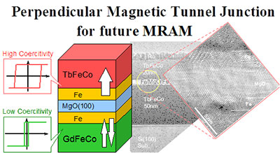垂直磁化p-MTJの構造図と断面TEM像