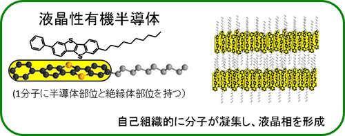 代表的な液晶物質の分子構造と液晶相の凝集状態（スメクチック相）。自己組織的に分子が凝集し層構造の凝集構造を形成する
