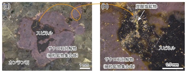 海洋マントルの有機炭素検出